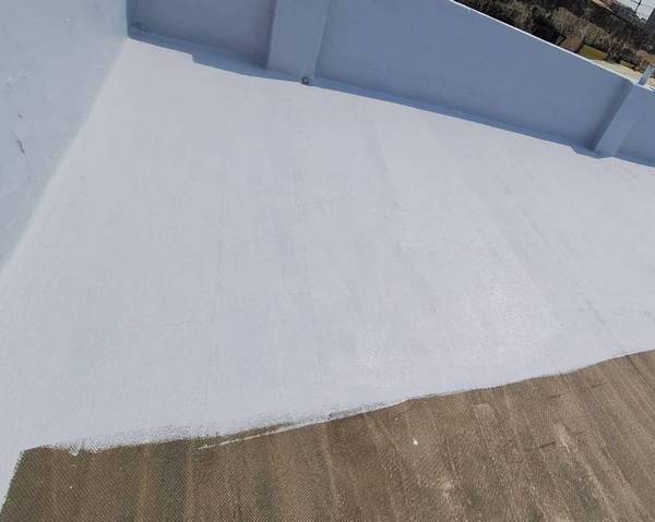 ªá½¬«Î³»¨¾¤ô