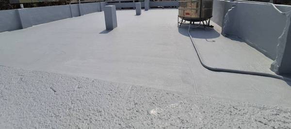 ªá½¬«Î³»¨¾¤ô