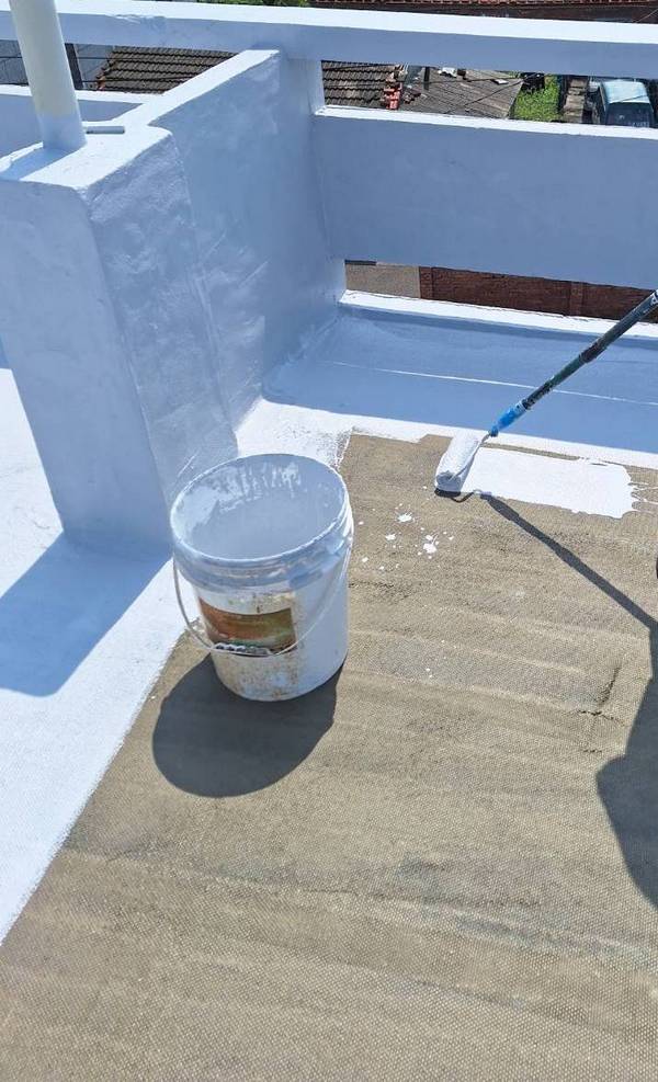 ªá½¬«Î³»¨¾¤ô