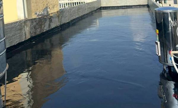 �Ὤ�γ�����